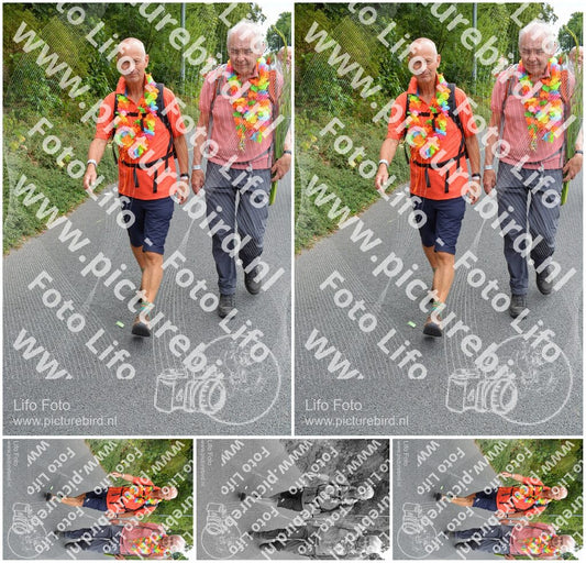 Evenement foto: Nijmeegse Vierdaagse 985