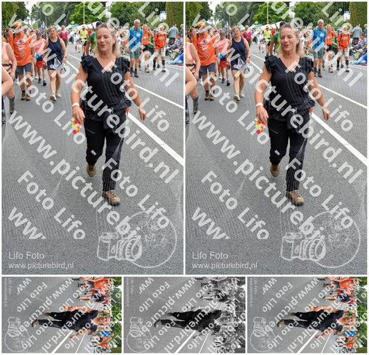 Evenement foto: Nijmeegse Vierdaagse 985