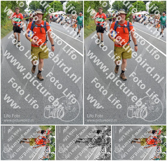 Evenement foto: Nijmeegse Vierdaagse 985