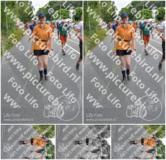 Evenement foto: Nijmeegse Vierdaagse 985