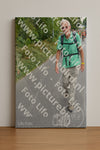 Evenement foto: Nijmeegse Vierdaagse 985