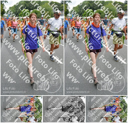 Evenement foto: Nijmeegse Vierdaagse 985