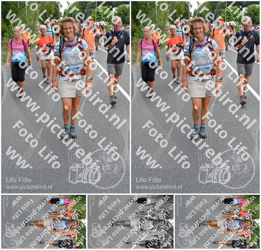 Evenement foto: Nijmeegse Vierdaagse 985