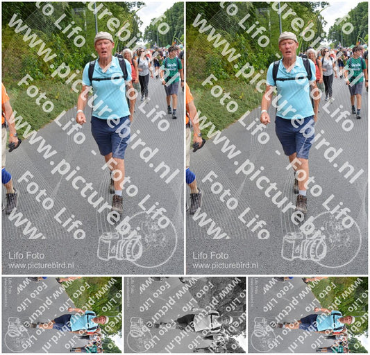 Evenement foto: Nijmeegse Vierdaagse 985