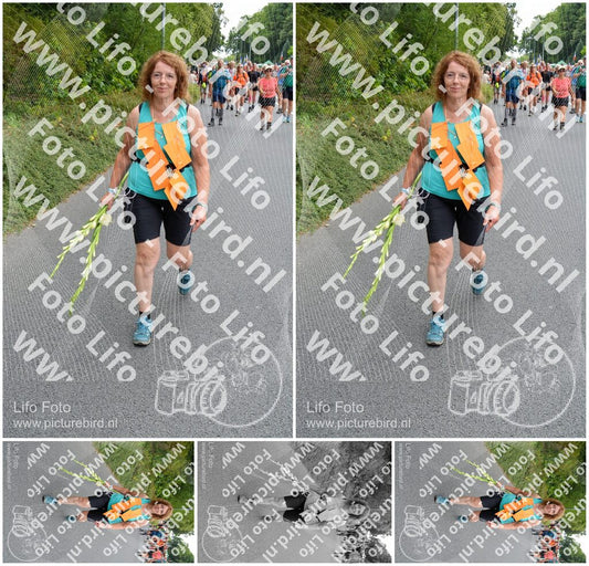 Evenement foto: Nijmeegse Vierdaagse 985