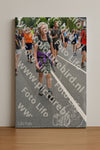 Evenement foto: Nijmeegse Vierdaagse 985