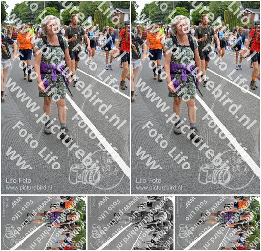 Evenement foto: Nijmeegse Vierdaagse 985