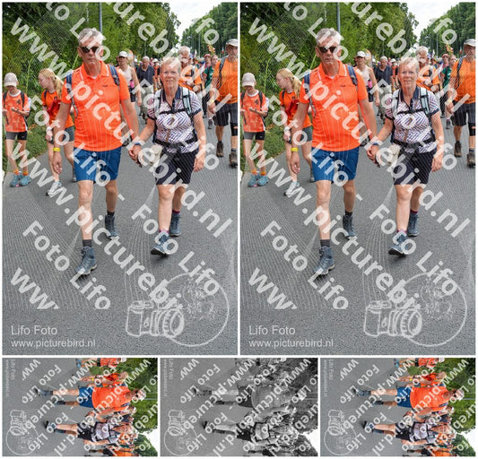 Evenement foto: Nijmeegse Vierdaagse 985