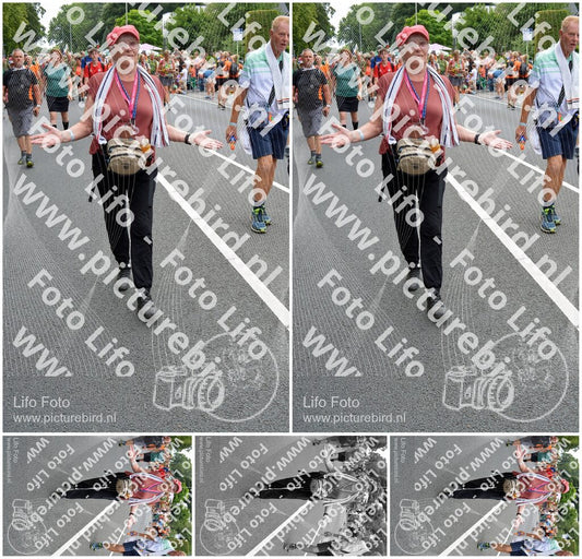 Evenement foto: Nijmeegse Vierdaagse 985