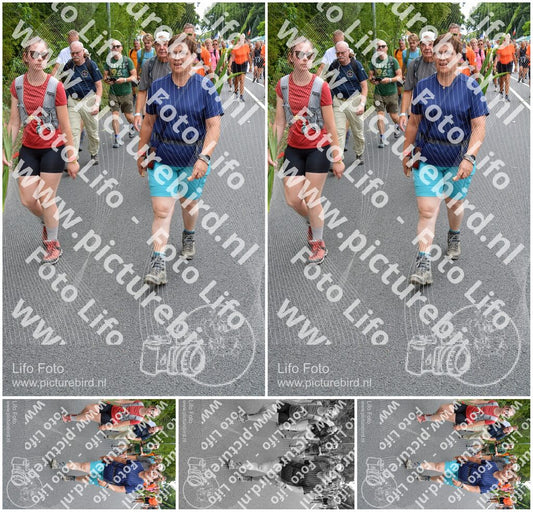 Evenement foto: Nijmeegse Vierdaagse 985