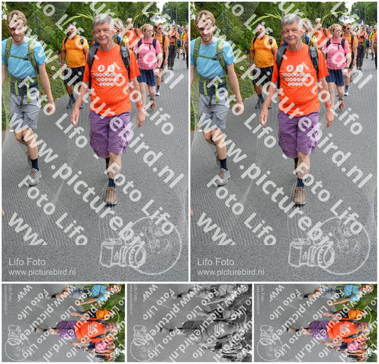 Evenement foto: Nijmeegse Vierdaagse 985