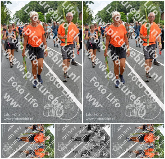 Evenement foto: Nijmeegse Vierdaagse 985