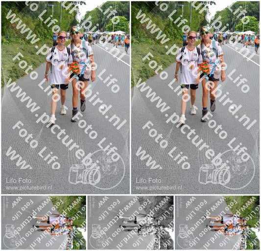 Evenement foto: Nijmeegse Vierdaagse 984