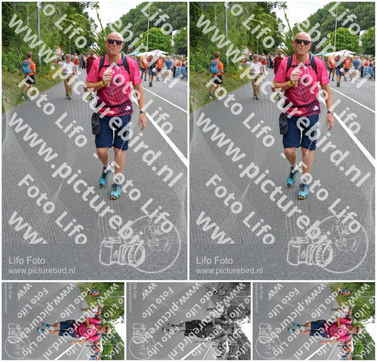Evenement foto: Nijmeegse Vierdaagse 984