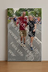 Evenement foto: Nijmeegse Vierdaagse 984