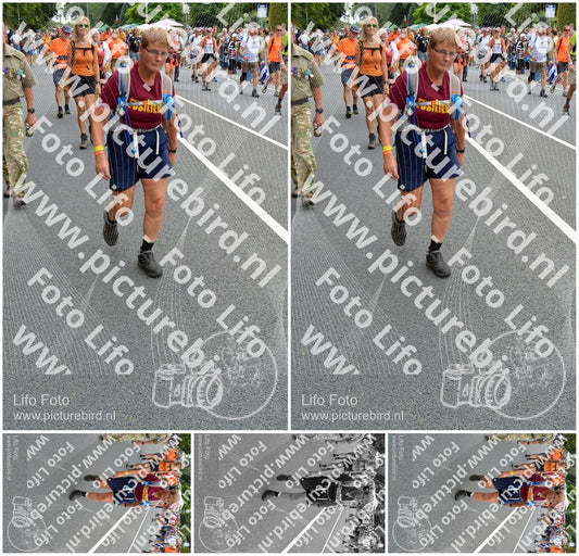 Evenement foto: Nijmeegse Vierdaagse 984