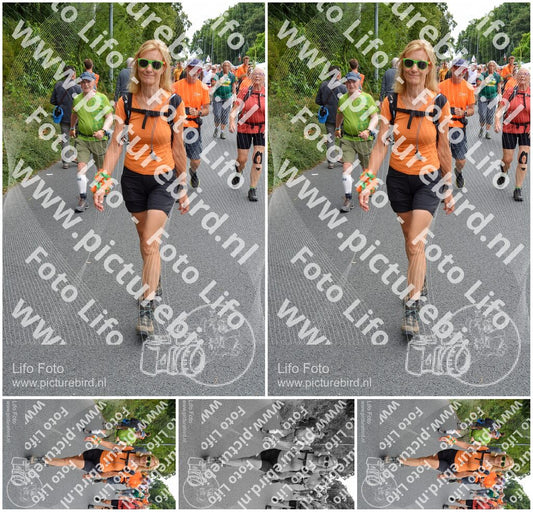 Evenement foto: Nijmeegse Vierdaagse 984