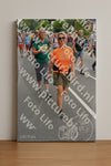 Evenement foto: Nijmeegse Vierdaagse 984