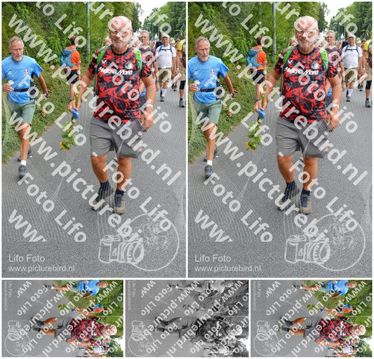 Evenement foto: Nijmeegse Vierdaagse 984