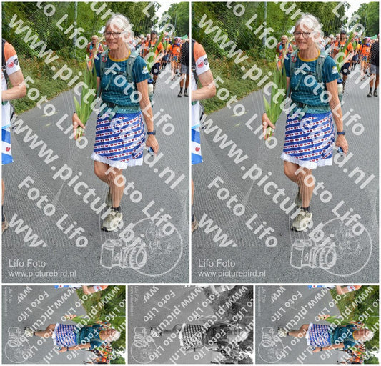 Evenement foto: Nijmeegse Vierdaagse 984