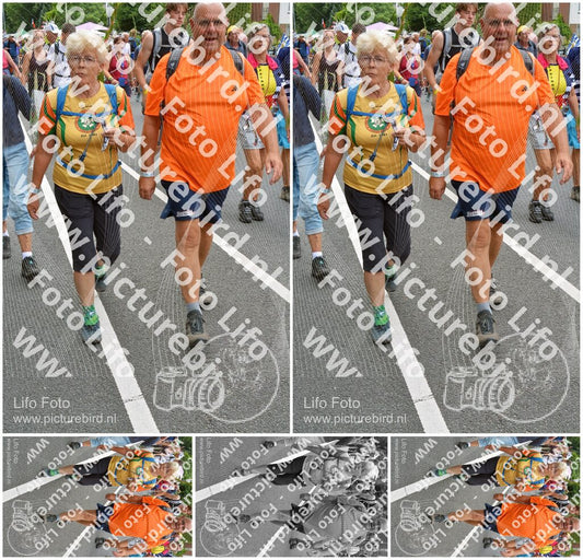 Evenement foto: Nijmeegse Vierdaagse 984
