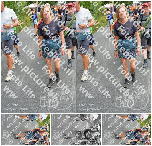 Evenement foto: Nijmeegse Vierdaagse 984