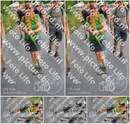 Evenement foto: Nijmeegse Vierdaagse 984