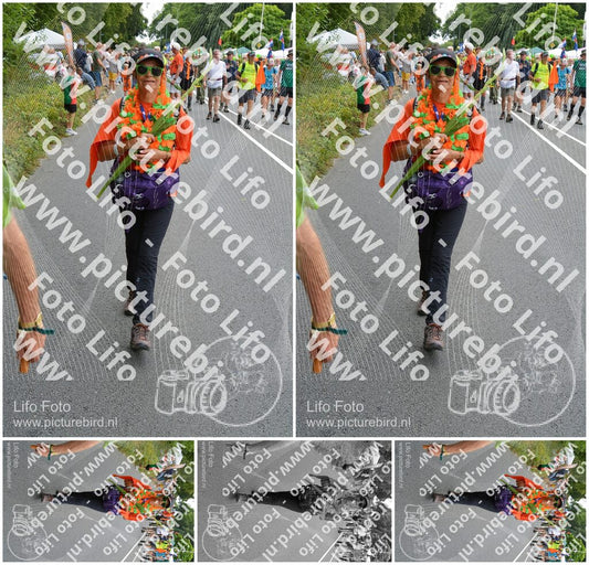 Evenement foto: Nijmeegse Vierdaagse 984