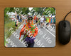 Evenement foto: Nijmeegse Vierdaagse 984