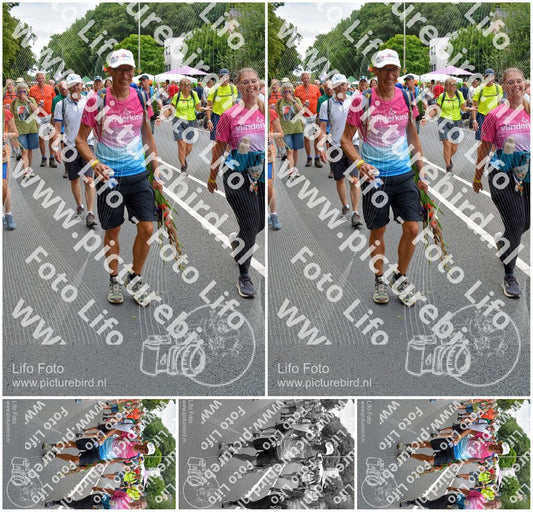 Evenement foto: Nijmeegse Vierdaagse 984
