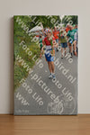 Evenement foto: Nijmeegse Vierdaagse 984