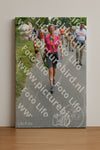 Evenement foto: Nijmeegse Vierdaagse 984