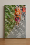 Evenement foto: Nijmeegse Vierdaagse 984