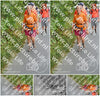 Evenement foto: Nijmeegse Vierdaagse 984