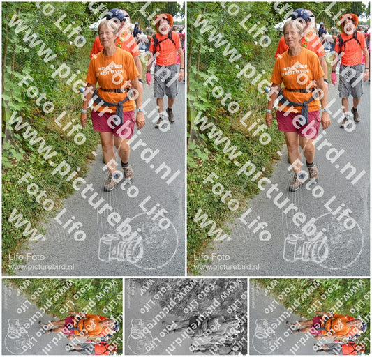 Evenement foto: Nijmeegse Vierdaagse 984