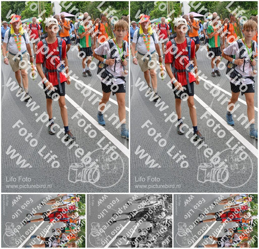 Evenement foto: Nijmeegse Vierdaagse 984