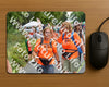 Evenement foto: Nijmeegse Vierdaagse 984