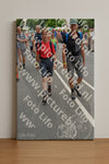 Evenement foto: Nijmeegse Vierdaagse 984