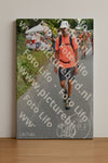 Evenement foto: Nijmeegse Vierdaagse 984