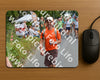 Evenement foto: Nijmeegse Vierdaagse 984