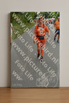 Evenement foto: Nijmeegse Vierdaagse 984