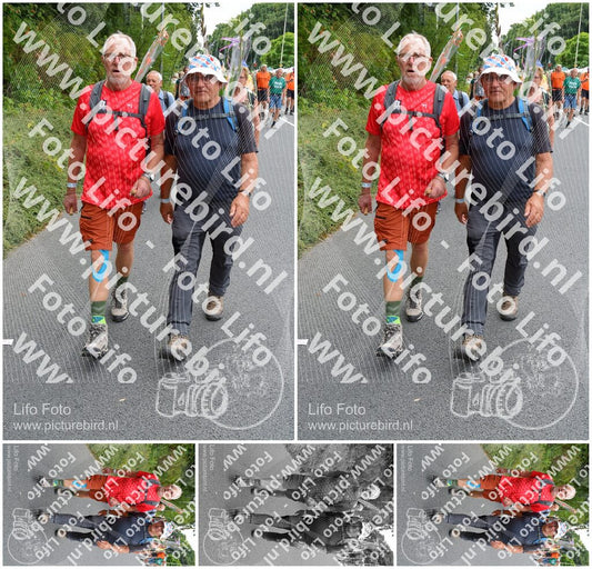 Evenement foto: Nijmeegse Vierdaagse 984