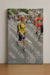Evenement foto: Nijmeegse Vierdaagse 984