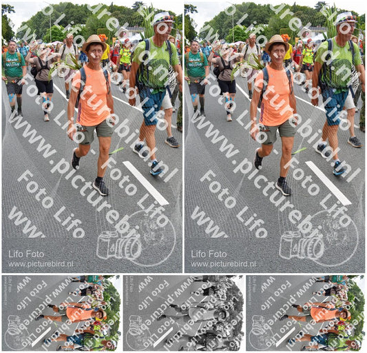 Evenement foto: Nijmeegse Vierdaagse 984
