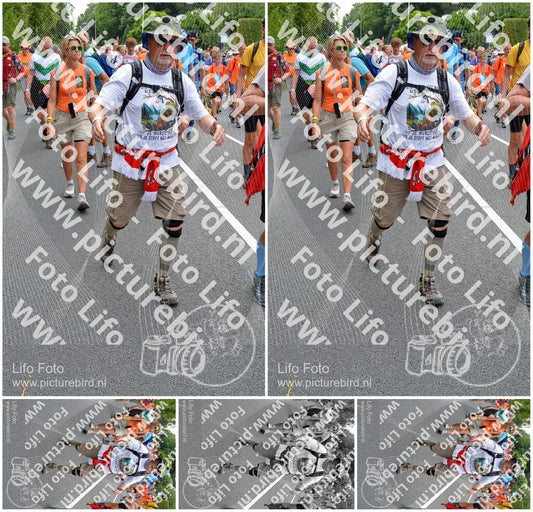 Evenement foto: Nijmeegse Vierdaagse 984