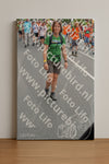 Evenement foto: Nijmeegse Vierdaagse 984