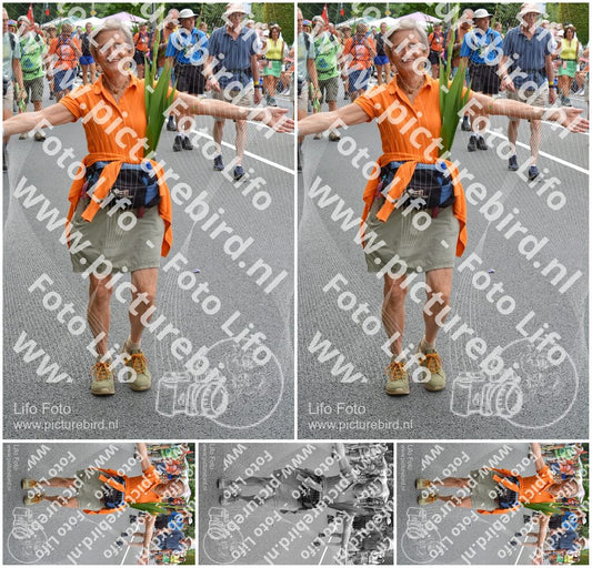 Evenement foto: Nijmeegse Vierdaagse 983