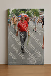 Evenement foto: Nijmeegse Vierdaagse 983
