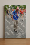 Evenement foto: Nijmeegse Vierdaagse 983