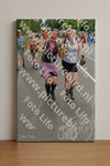 Evenement foto: Nijmeegse Vierdaagse 983